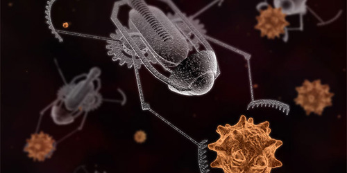Nanobots
